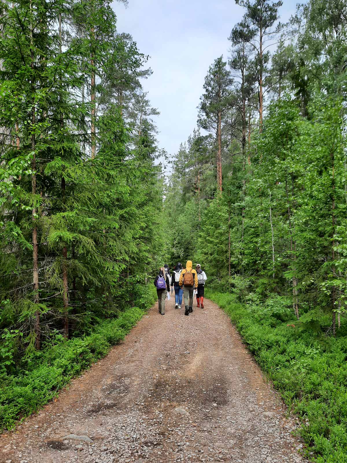 Ungdomslägret gör en skogsvandring i Pinkjärvi, Euraåminne. Foto: Veera Virtanen.
