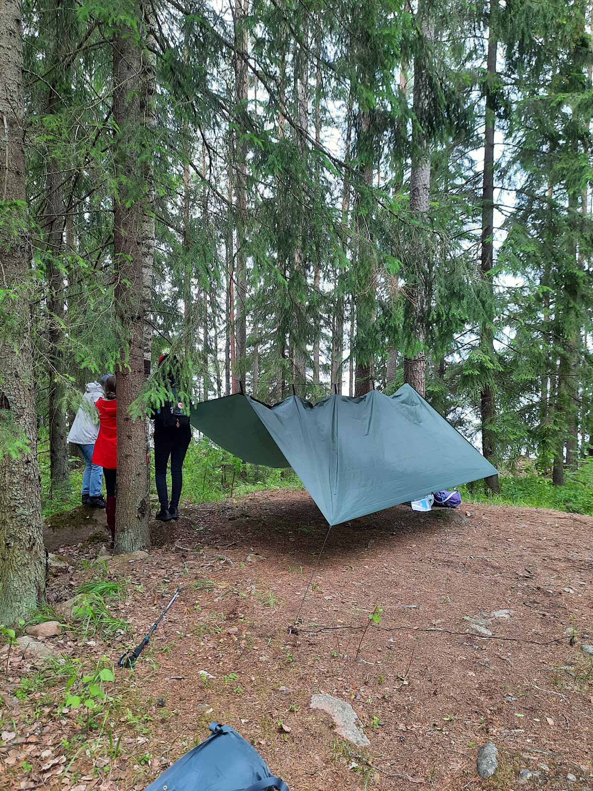 Forest excursion of a day camp for youths at Pinkjärvi in Eurajoki. Photo: Veera Virtanen