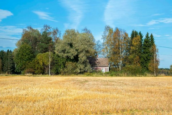 Khronoksen talo, 2016. Kuva: Vesa-Matti Väärä.