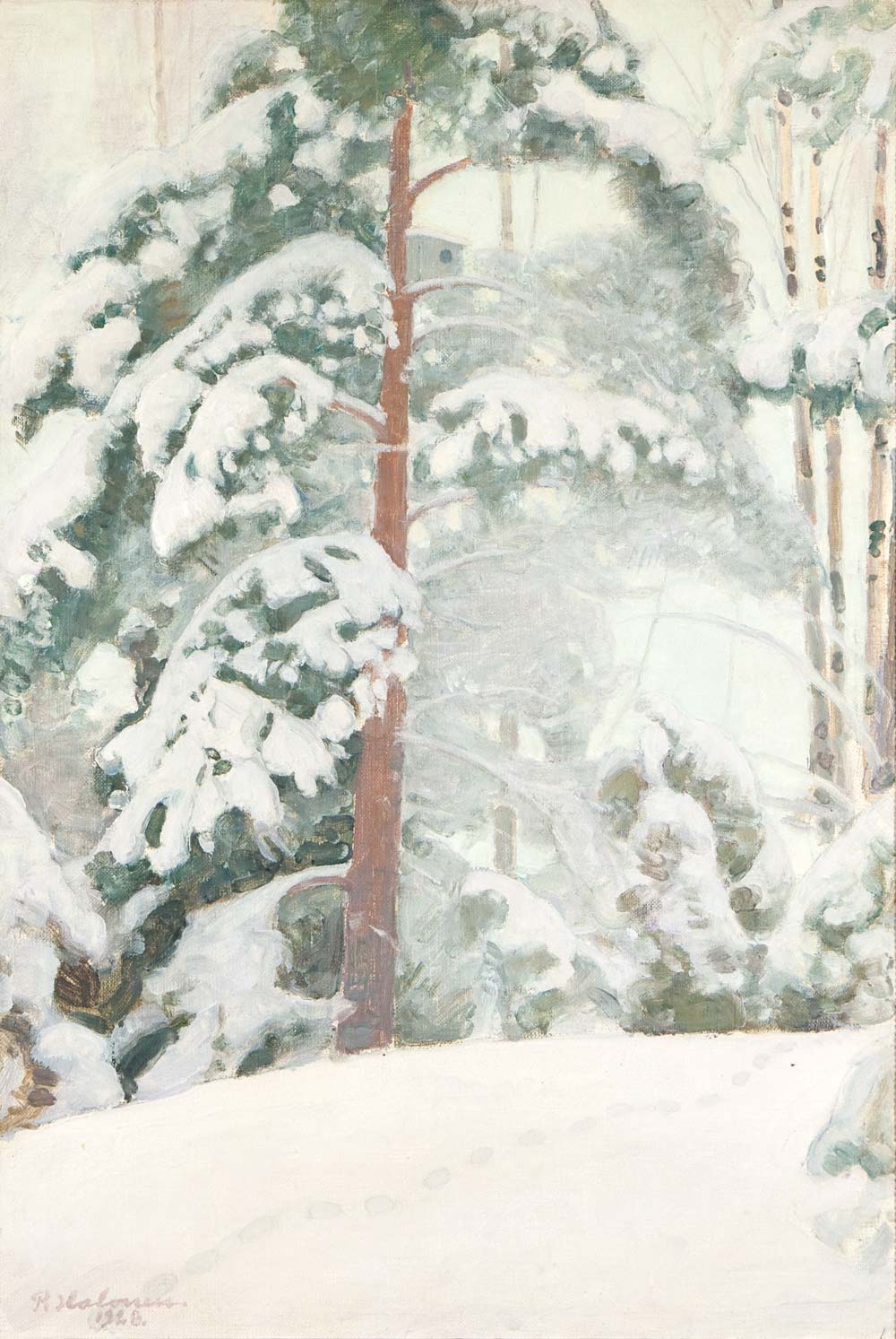 Pekka Halonen, Honka lumessa, 1928, öljy kankaalle, 74 x 50,5 cm. Kuva: Saara Salmi